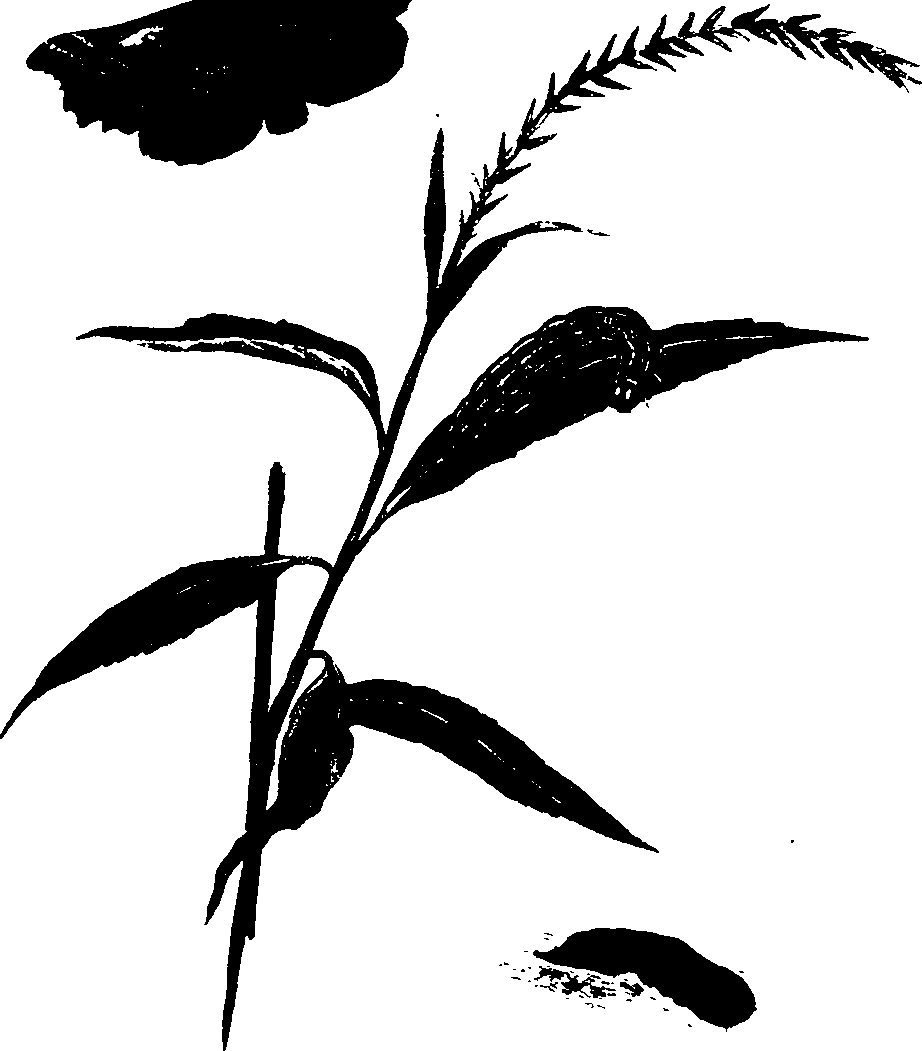 062/062260070601050_0.png