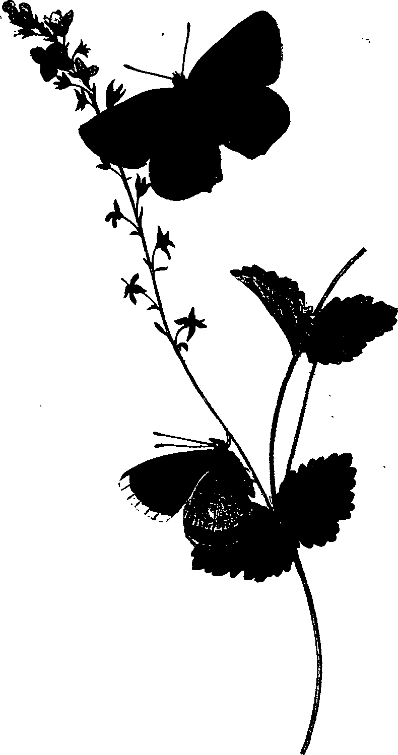 062/062260070700020_0.png