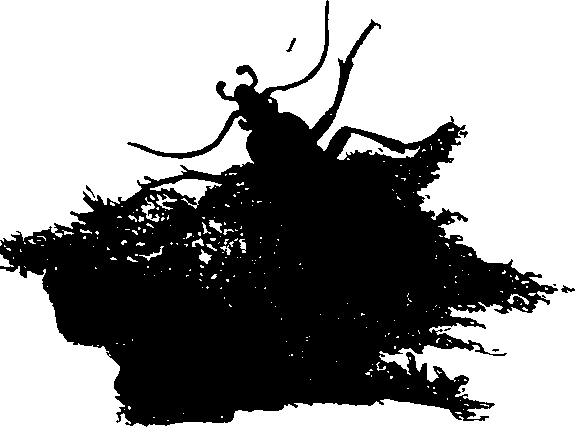 062/062260070700160_0.png