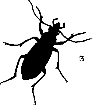 062/062260070700160_1.png