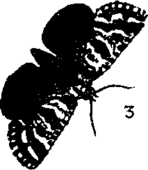062/062260070700200_1.png