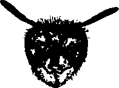 062/062260070700320_0.png