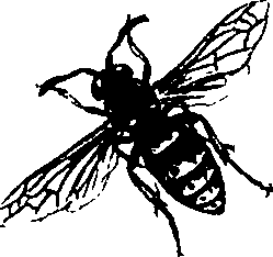 062/062260070700320_1.png