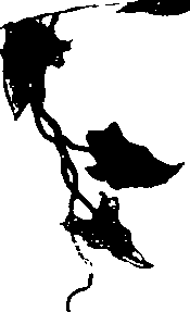 062/062260070700380_0.png