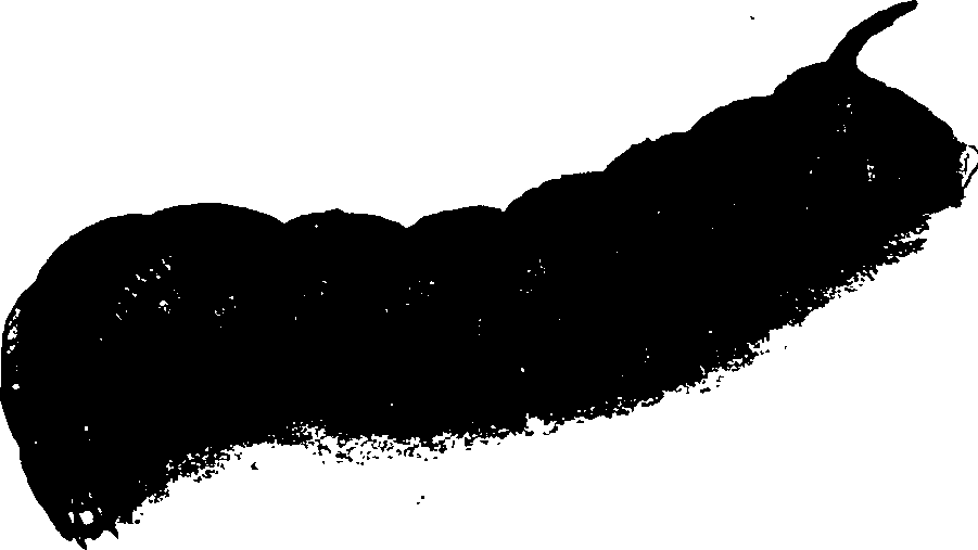 062/062260070700410_1.png