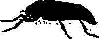 062/062260070700460_0.png