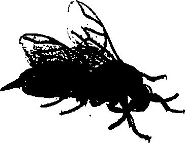 062/062260070700630_0.png
