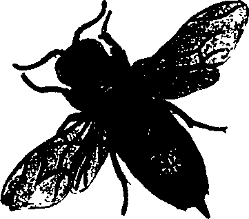 062/062260070700630_1.png