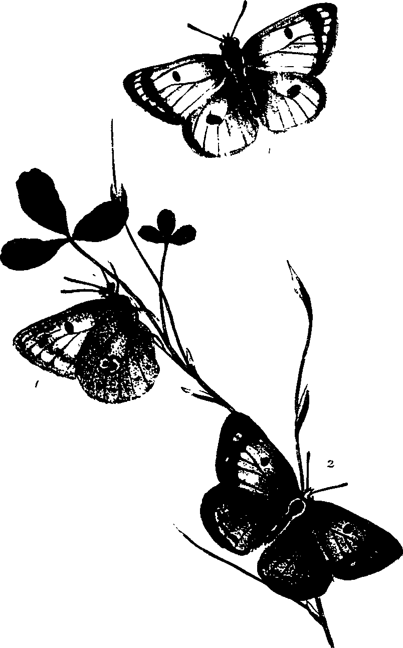 062/062260070700710_0.png