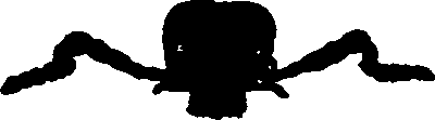 062/062260070700800_0.png