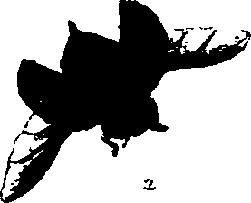 062/062260070700890_1.png