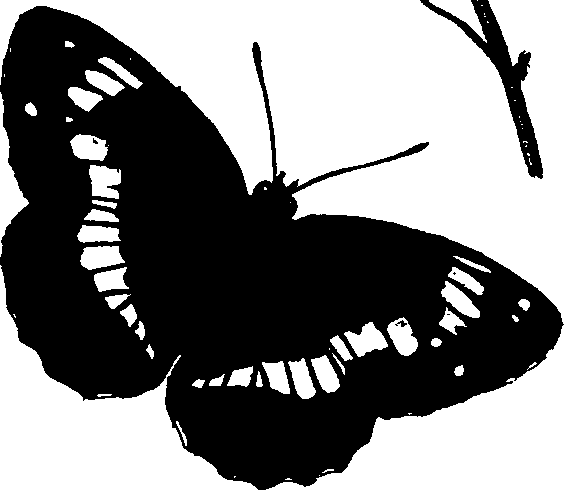 062/062260070700920_0.png