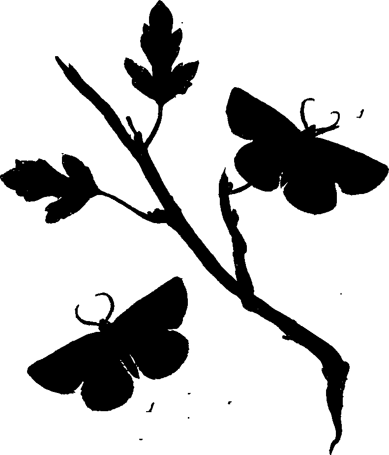 062/062260070700980_0.png