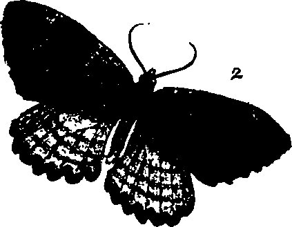 062/062260070700980_1.png