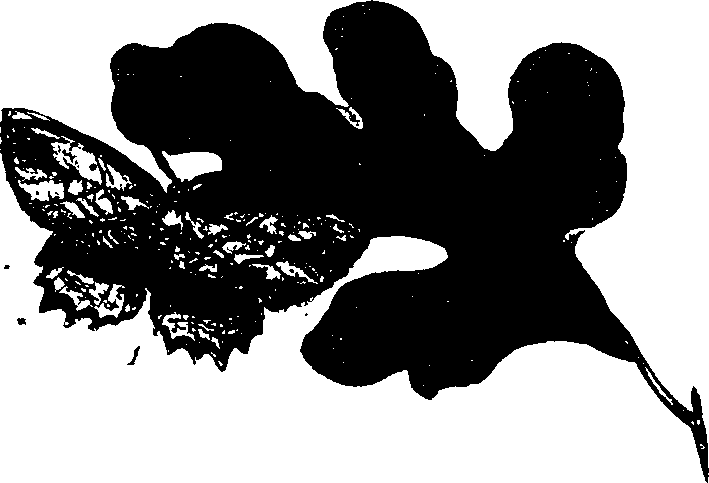 062/062260070701120_0.png