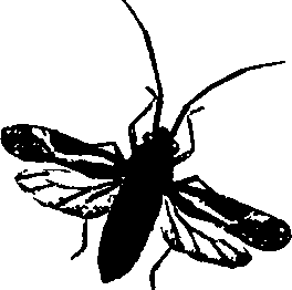 062/062260070701160_0.png
