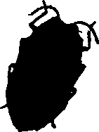 062/062260070800120_0.png