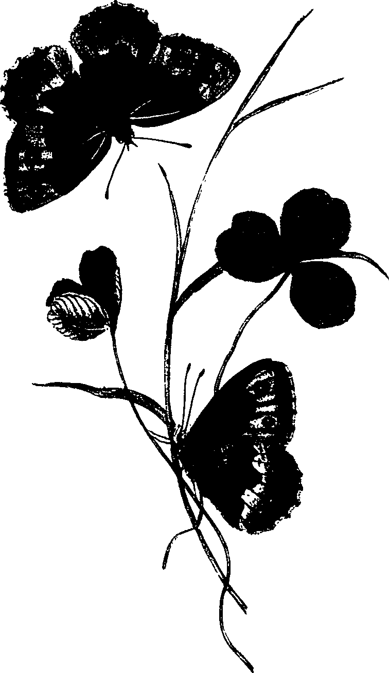 062/062260070800190_0.png