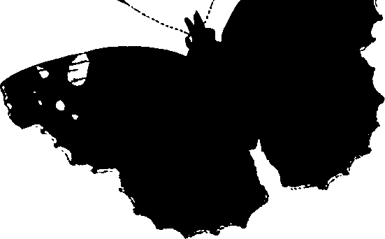 062/062260070800210_0.png