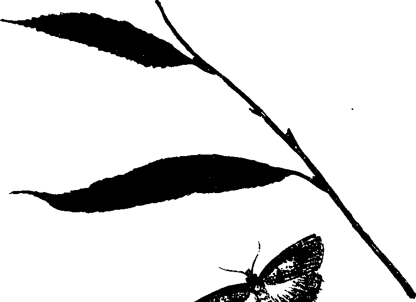 062/062260070800310_0.png