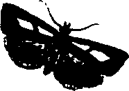 062/062260070800310_1.png
