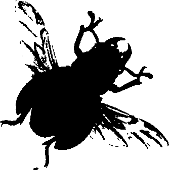 062/062260070800340_0.png