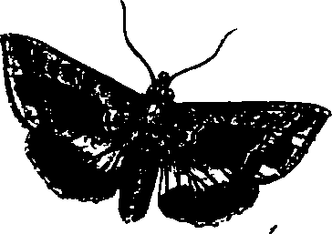 062/062260070800390_0.png