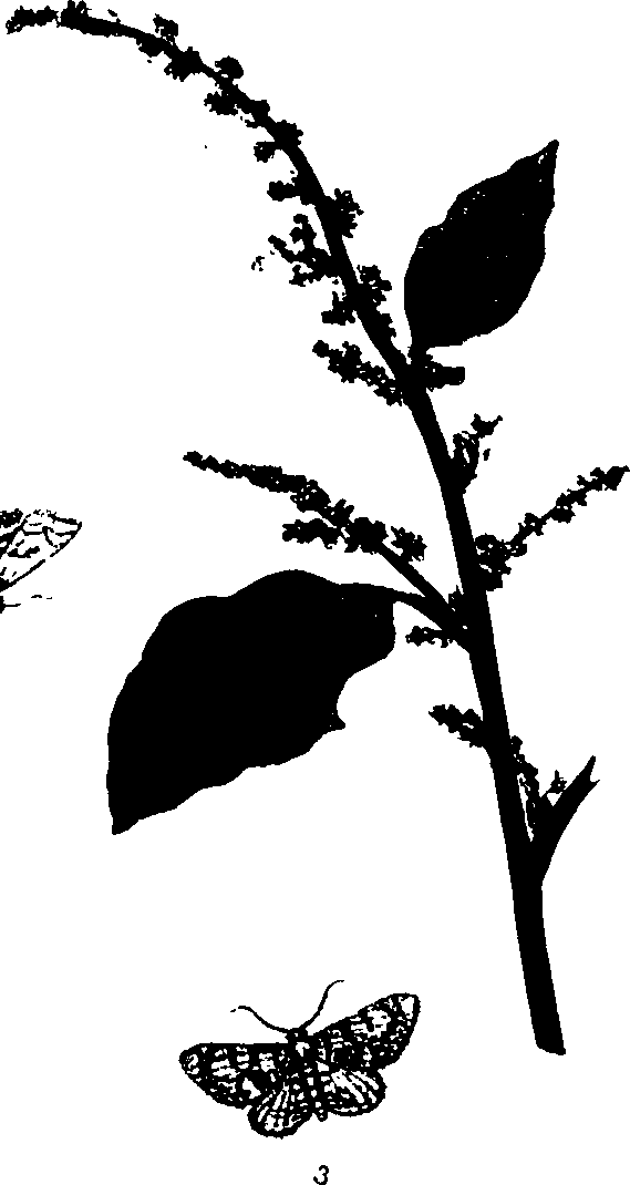 062/062260070800430_0.png