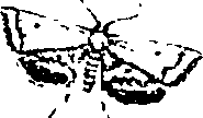 062/062260070800430_1.png