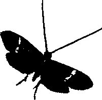 062/062260070800470_0.png