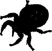 062/062260070800510_0.png