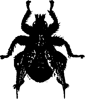 062/062260070800510_1.png