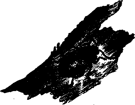 062/062260070800670_0.png