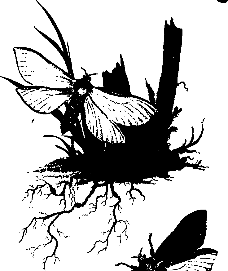 062/062260070800690_0.png