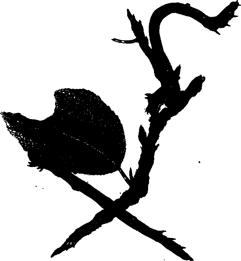 062/062260070800720_0.png