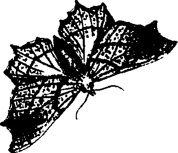 062/062260070800720_1.png