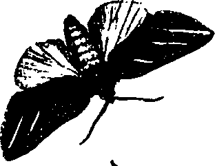 062/062260070800870_0.png