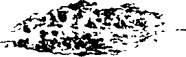 062/062260070800920_0.png