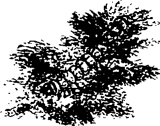 062/062260070800920_1.png