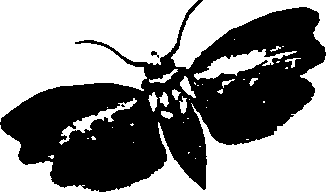 062/062260070800920_2.png