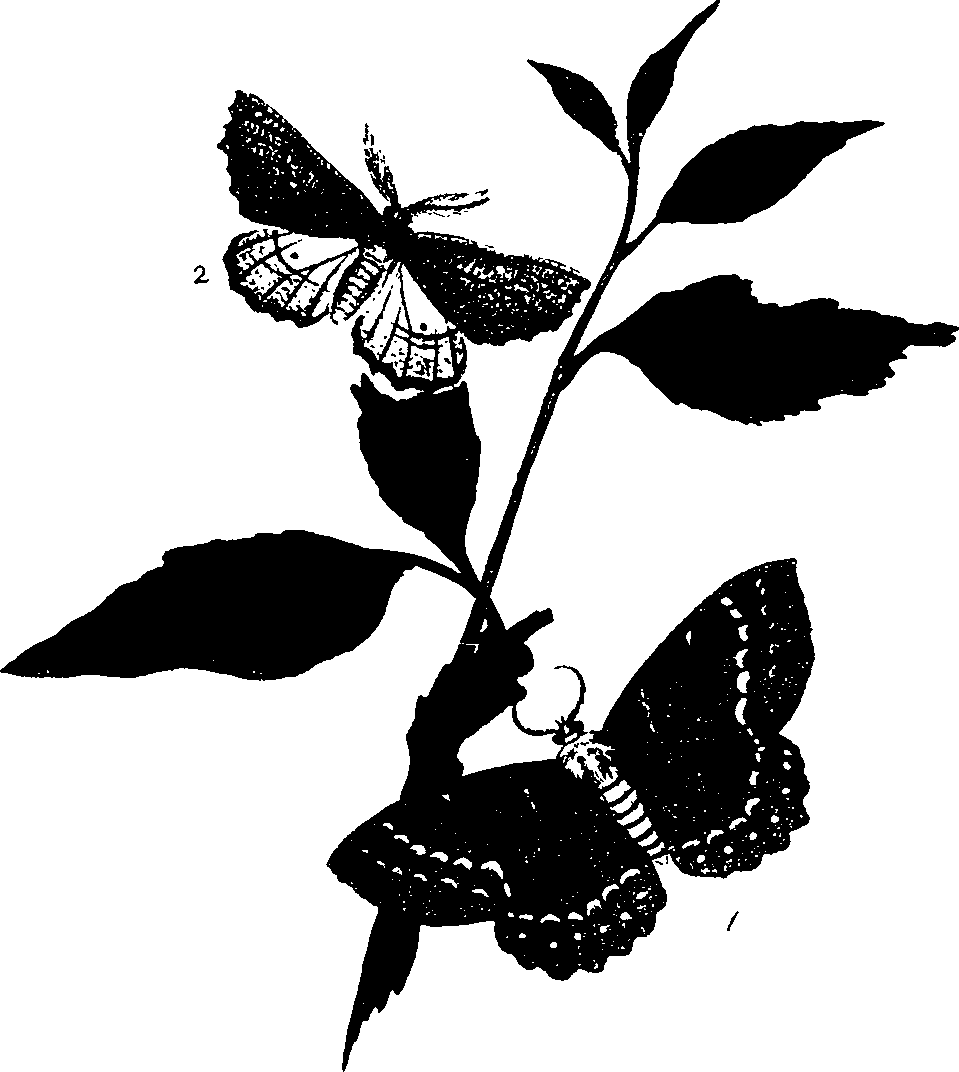 062/062260070801010_0.png