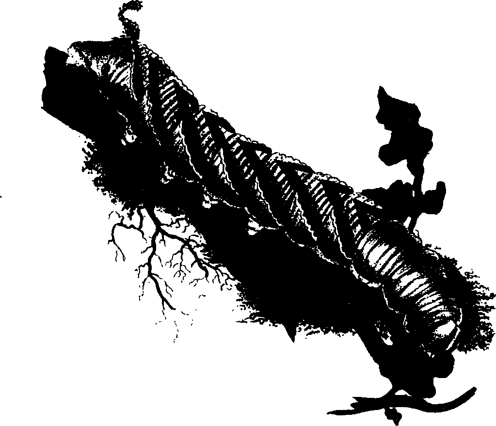 062/062260070900050_1.png