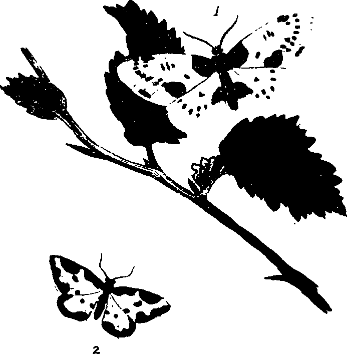 062/062260070900130_0.png