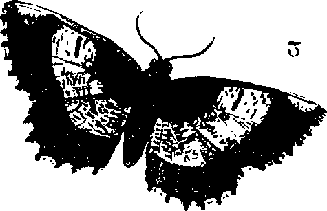 062/062260070900130_1.png