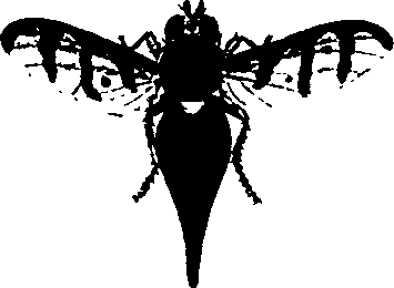 062/062260070900170_0.png