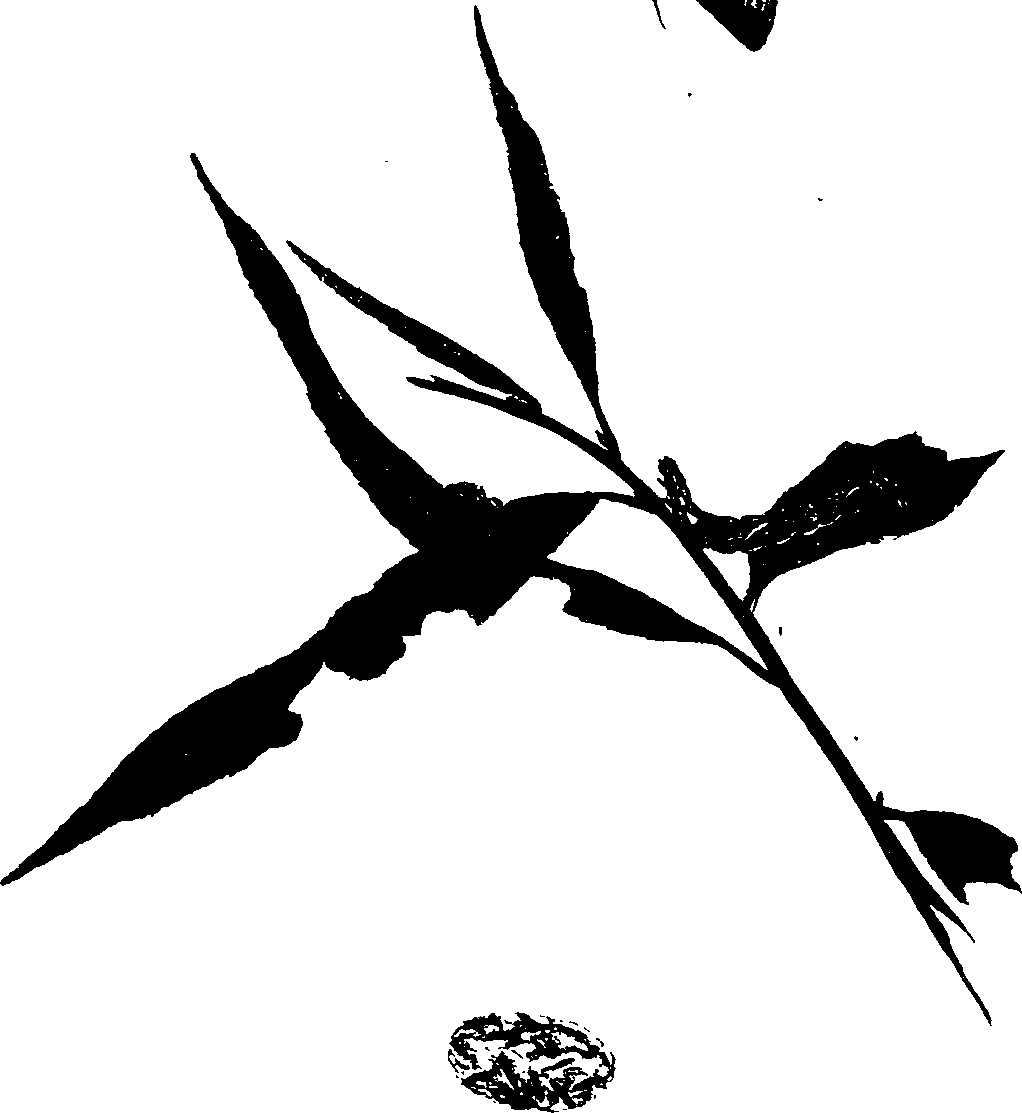 062/062260070900260_0.png