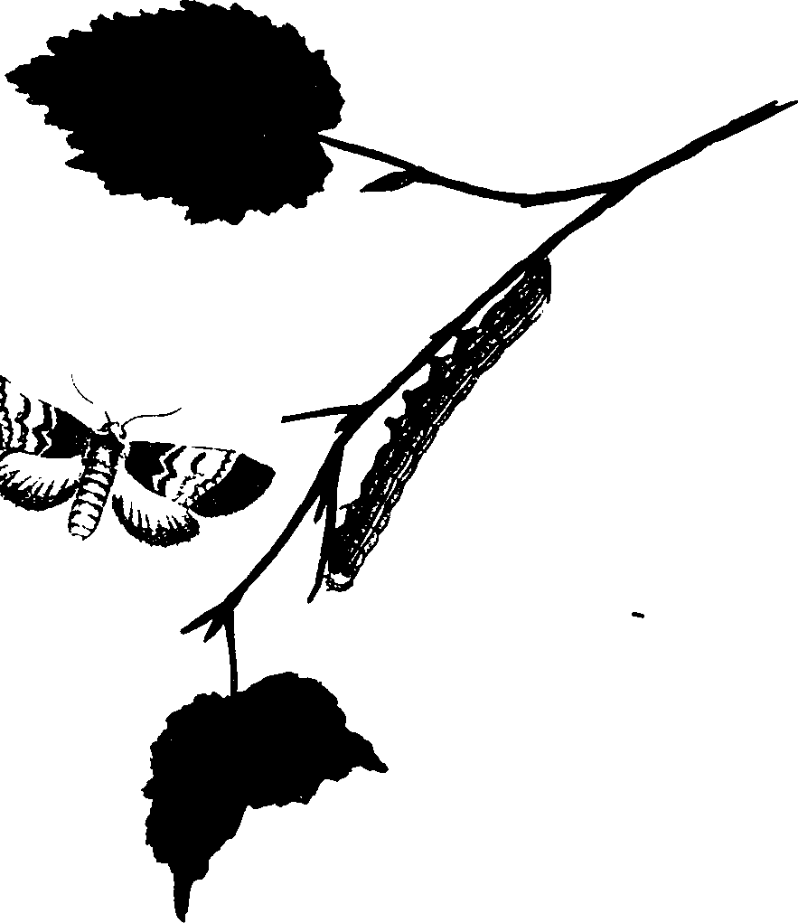 062/062260070900280_0.png