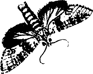 062/062260070900380_0.png