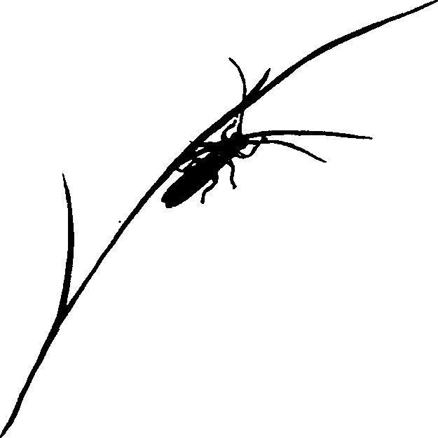 062/062260070900410_0.png