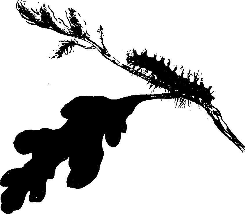 062/062260070900440_0.png